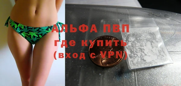 альфа пвп Новодвинск