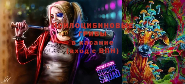 альфа пвп Новодвинск