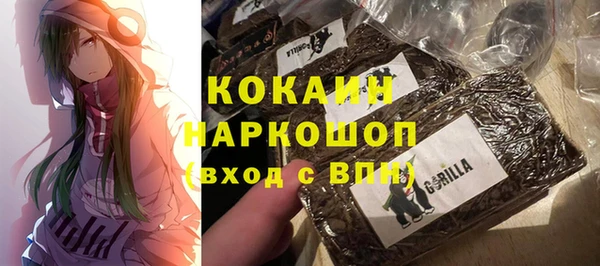 гидра Новокубанск