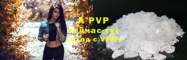 альфа пвп Новодвинск