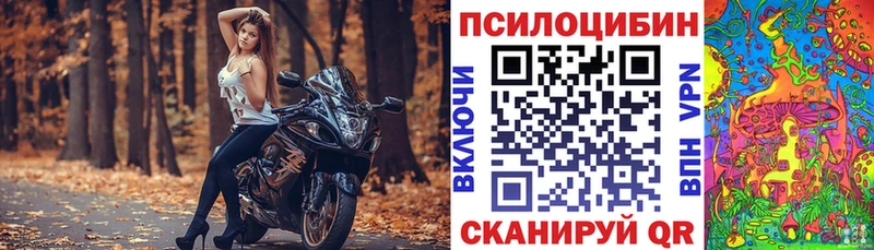 купить  цена  Энем  Псилоцибиновые грибы MAGIC MUSHROOMS 