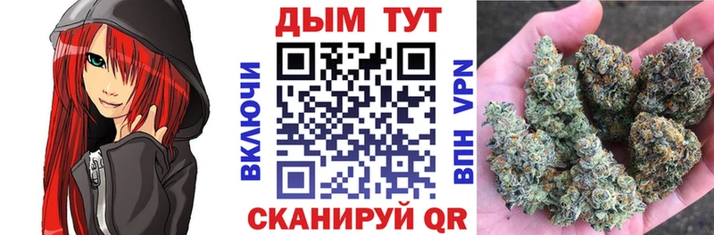 купить   Энем  Бошки Шишки сатива 